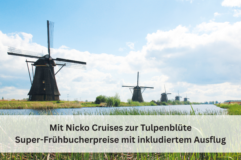 Traditionelle dunkle Windmühlen stehen entlang eines Kanals unter blauem Himmel. Werbung für Nicko Cruises zu den Tulpen in den Niederlanden mit Frühbucherpreisen. Traditionelle dunkle Windmühlen stehen entlang eines Kanals unter blauem Himmel. Werbung für Nicko Cruises zu den Tulpen in den Niederlanden mit Frühbucherpreisen.